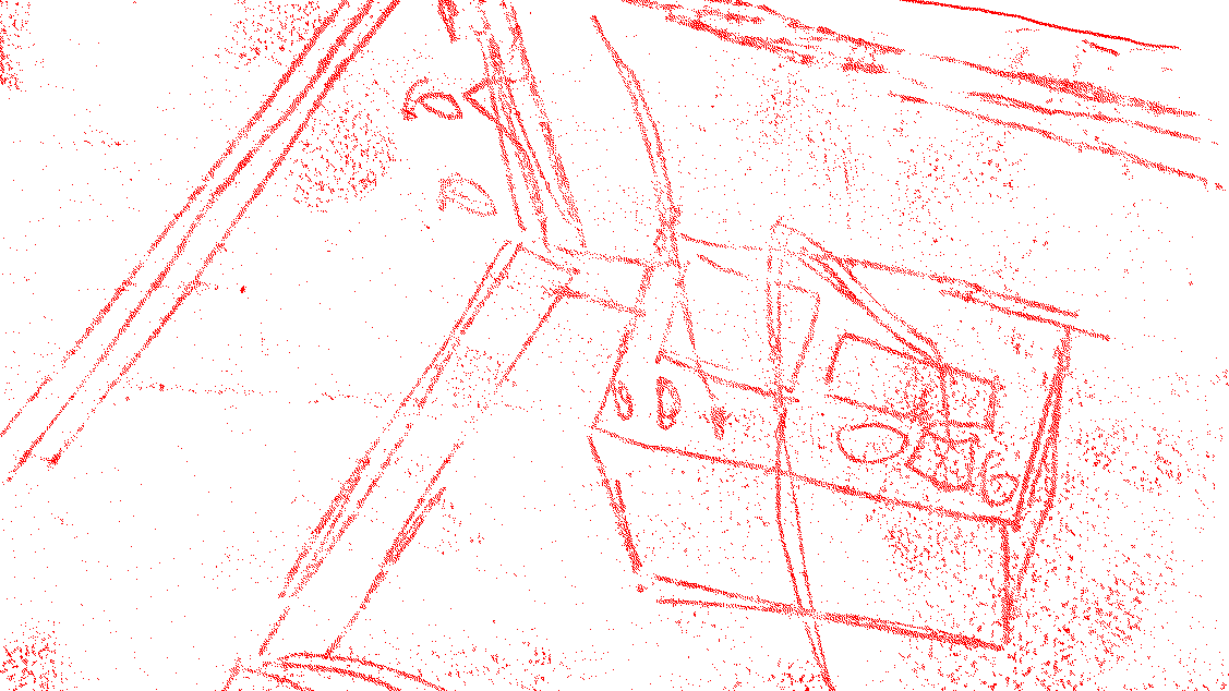 Wels catfish tracking system