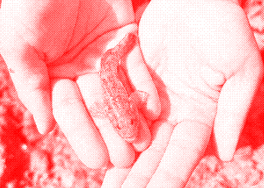 Padanian goby held in two hands above a spring-fed ditch.