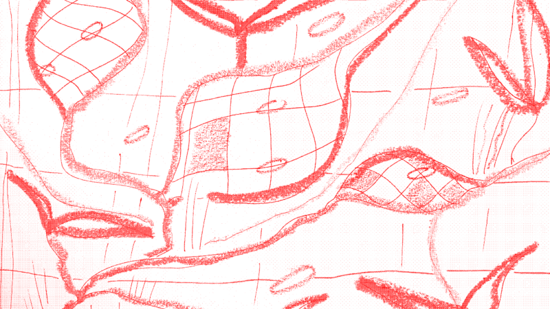 Water lifelines of the plain