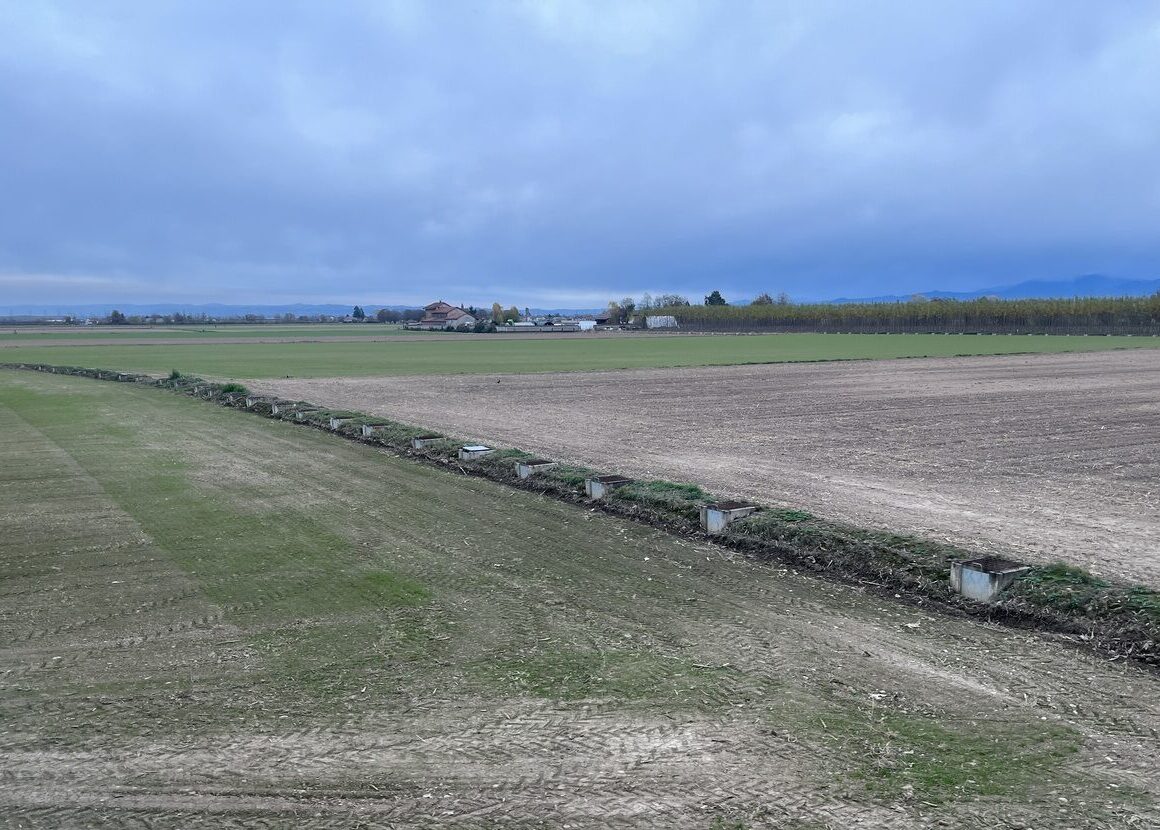 Former open ditch replaced by underground piping across cultivated fields.