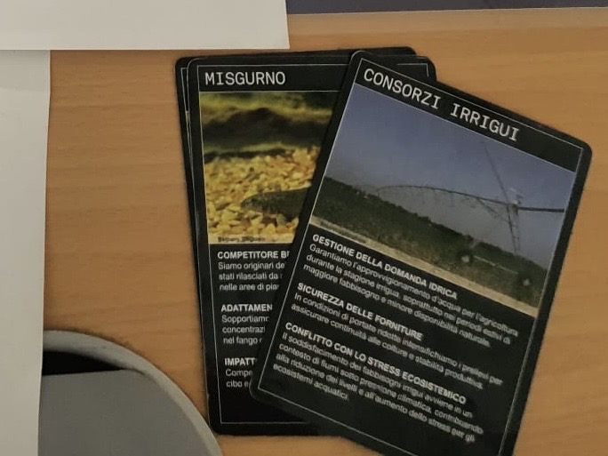 Cards showing some of the stakeholders